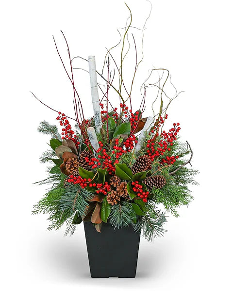 Winter Wreath & Porch Pot