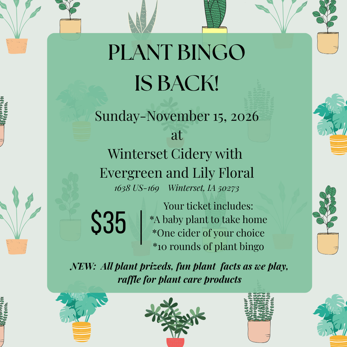 PLANT BINGO – Evergreen & Lily